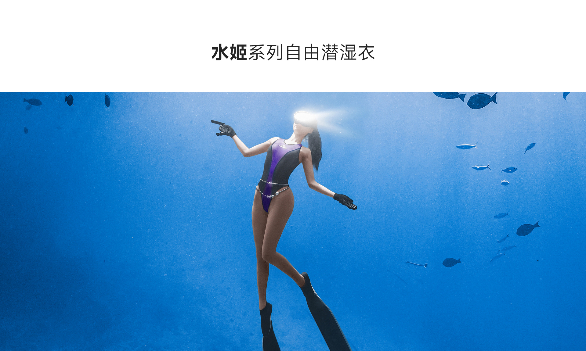 紫黑_01.jpg