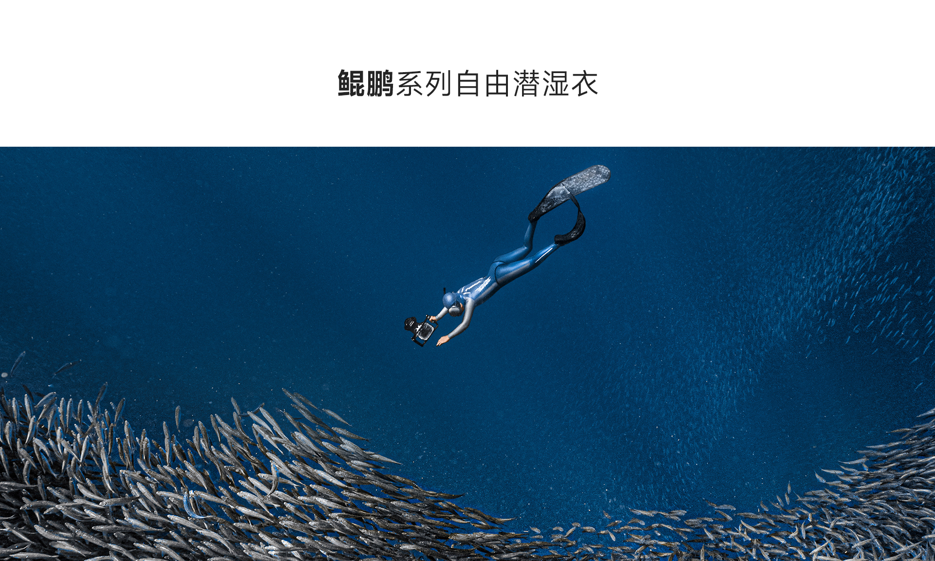 男蓝银_02.jpg