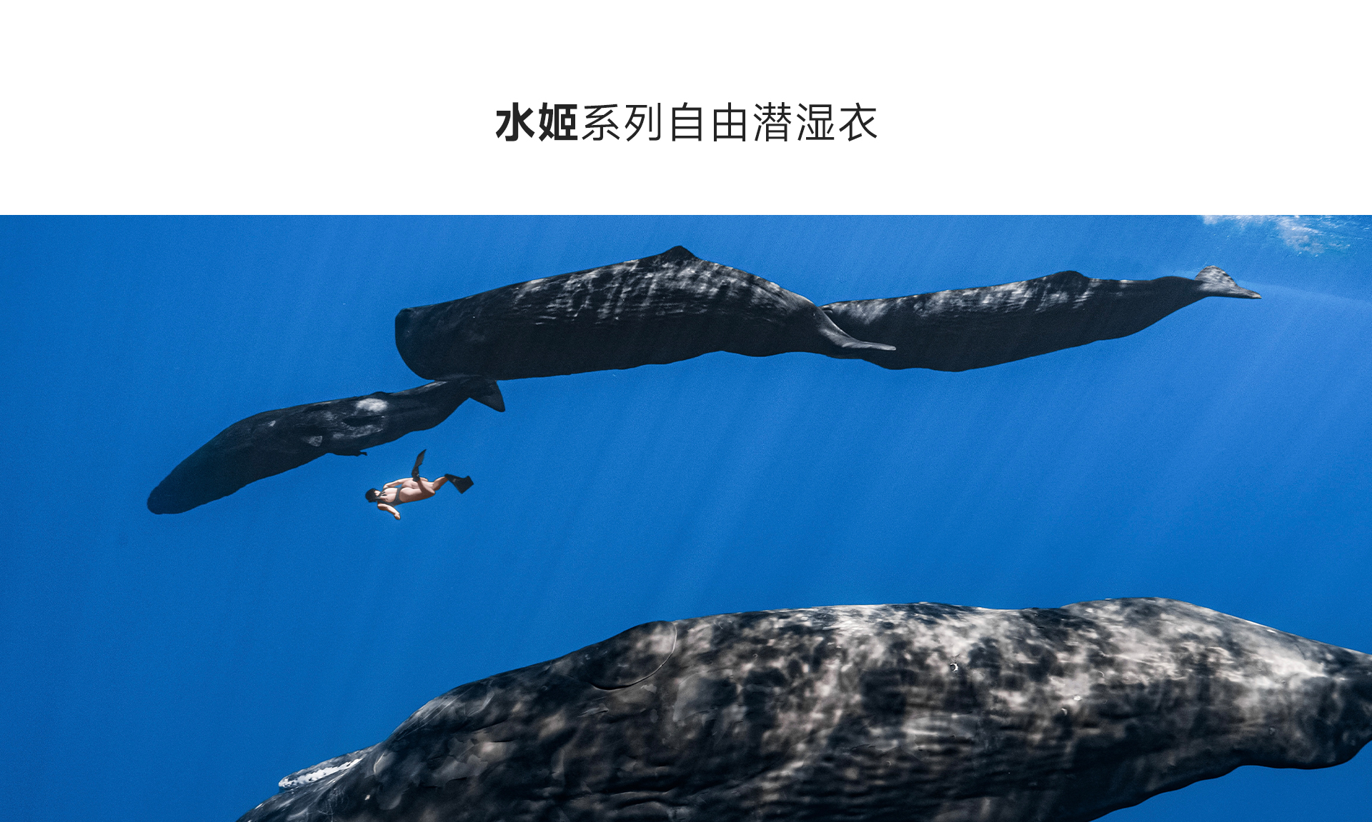 黑银_01.jpg