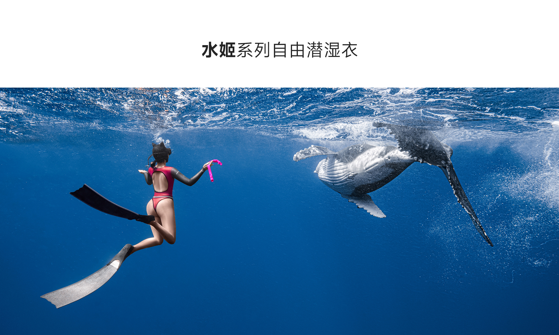 红灰_01.jpg