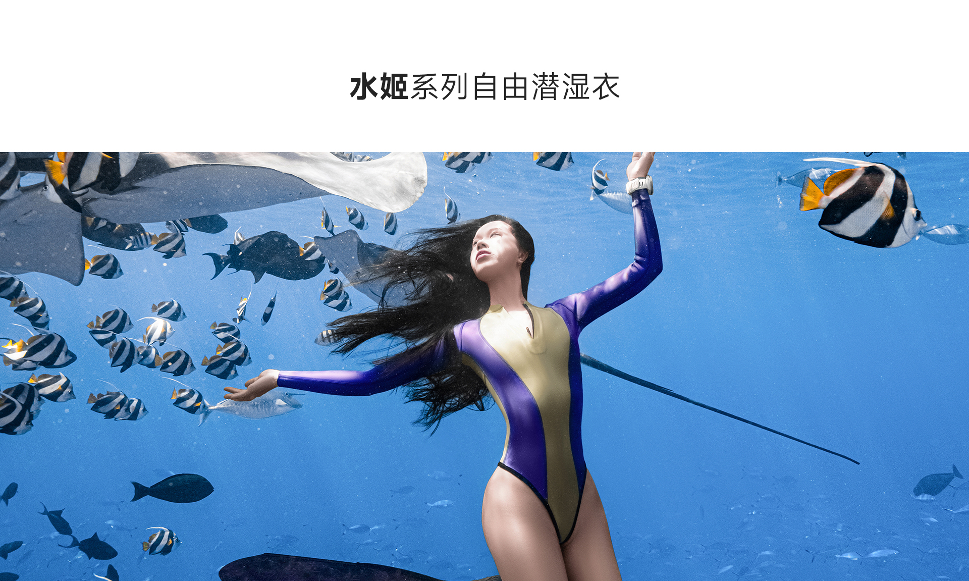 金紫_01.jpg