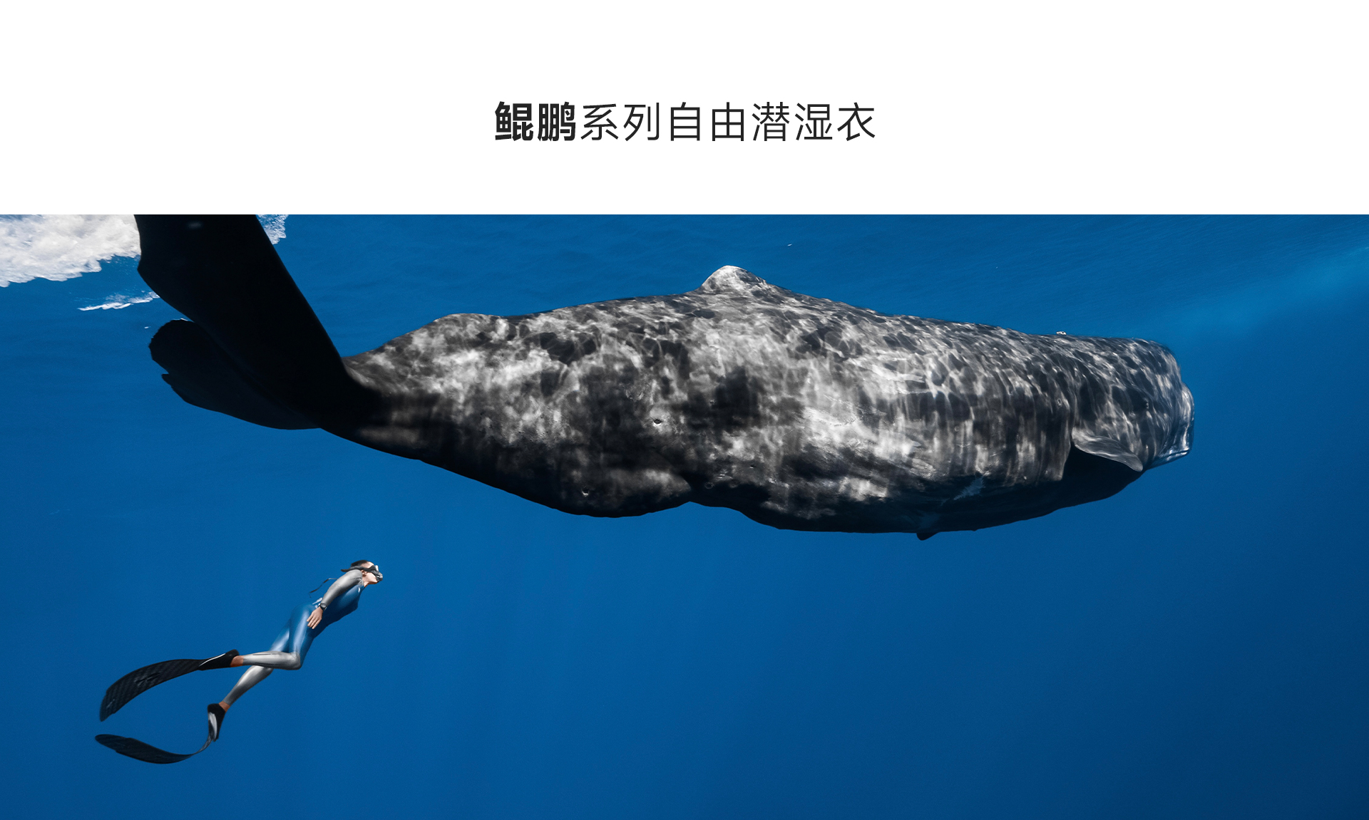 男蓝银_02.jpg
