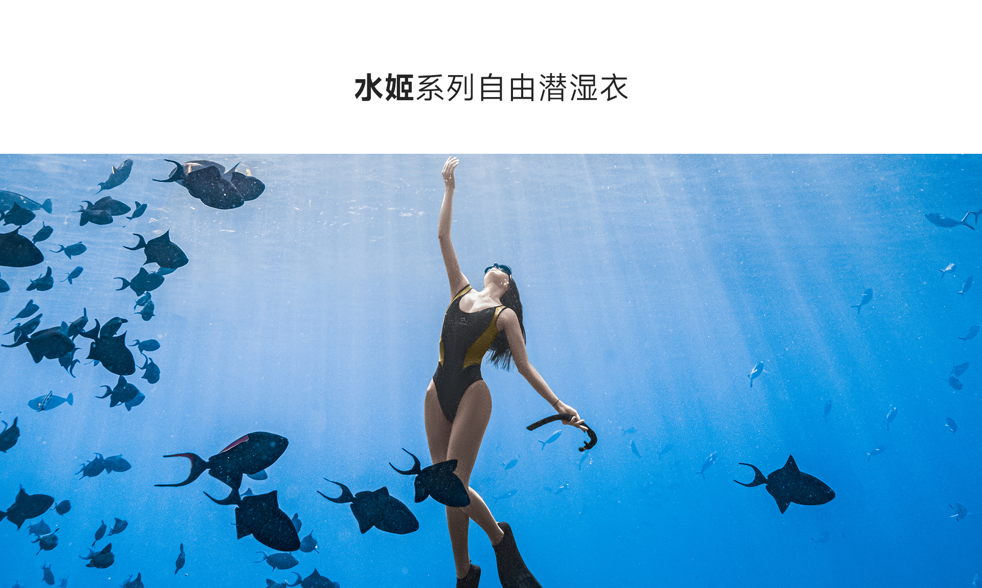 黑金_01.jpg
