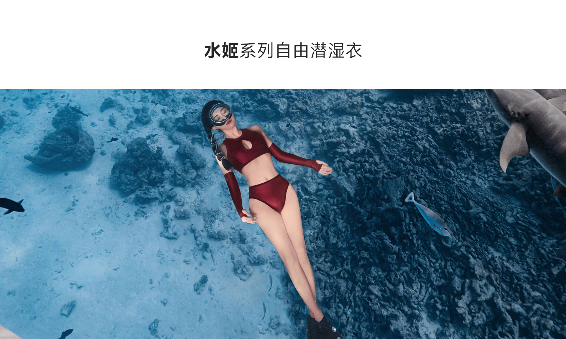 红色_01.jpg