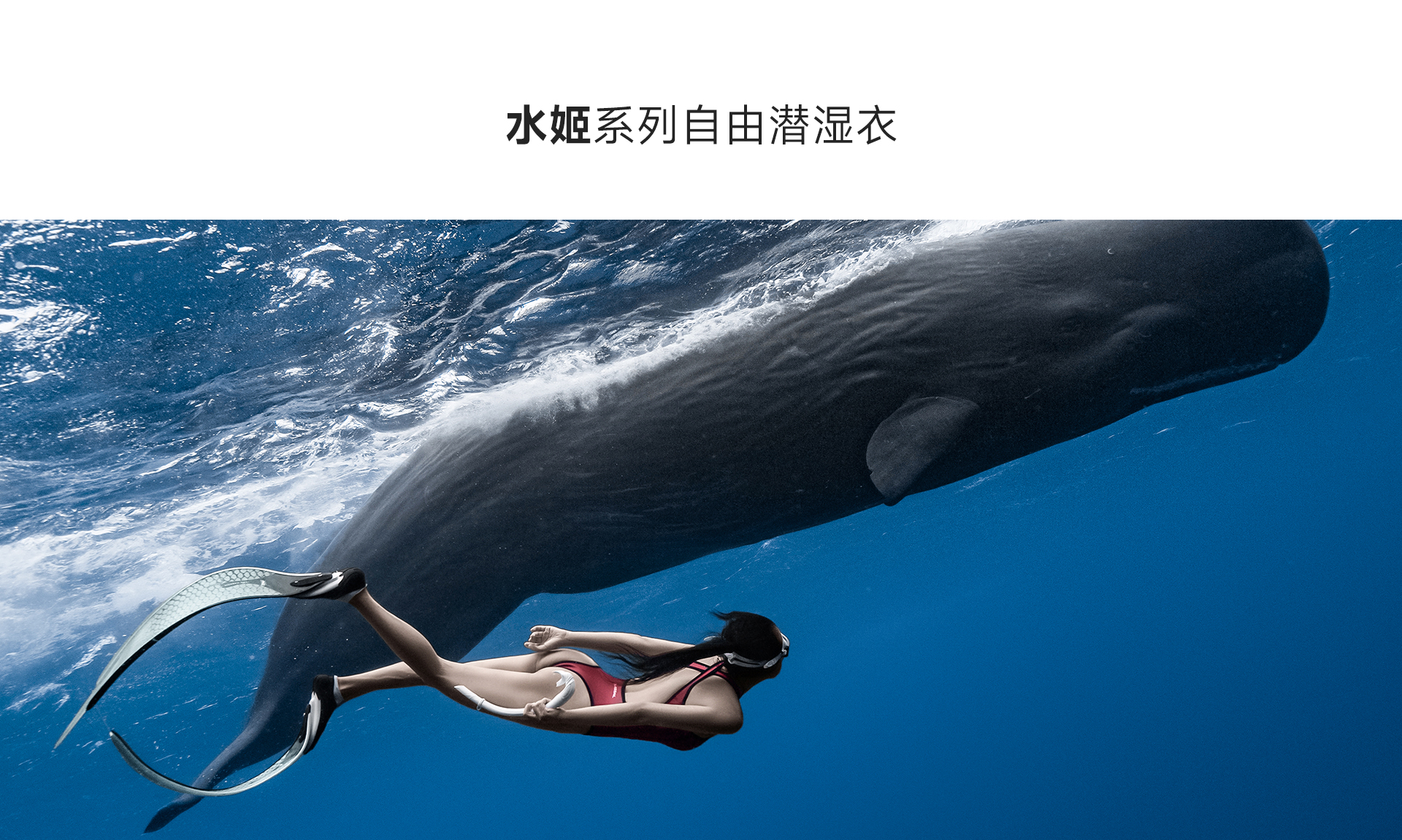 红色_01.jpg