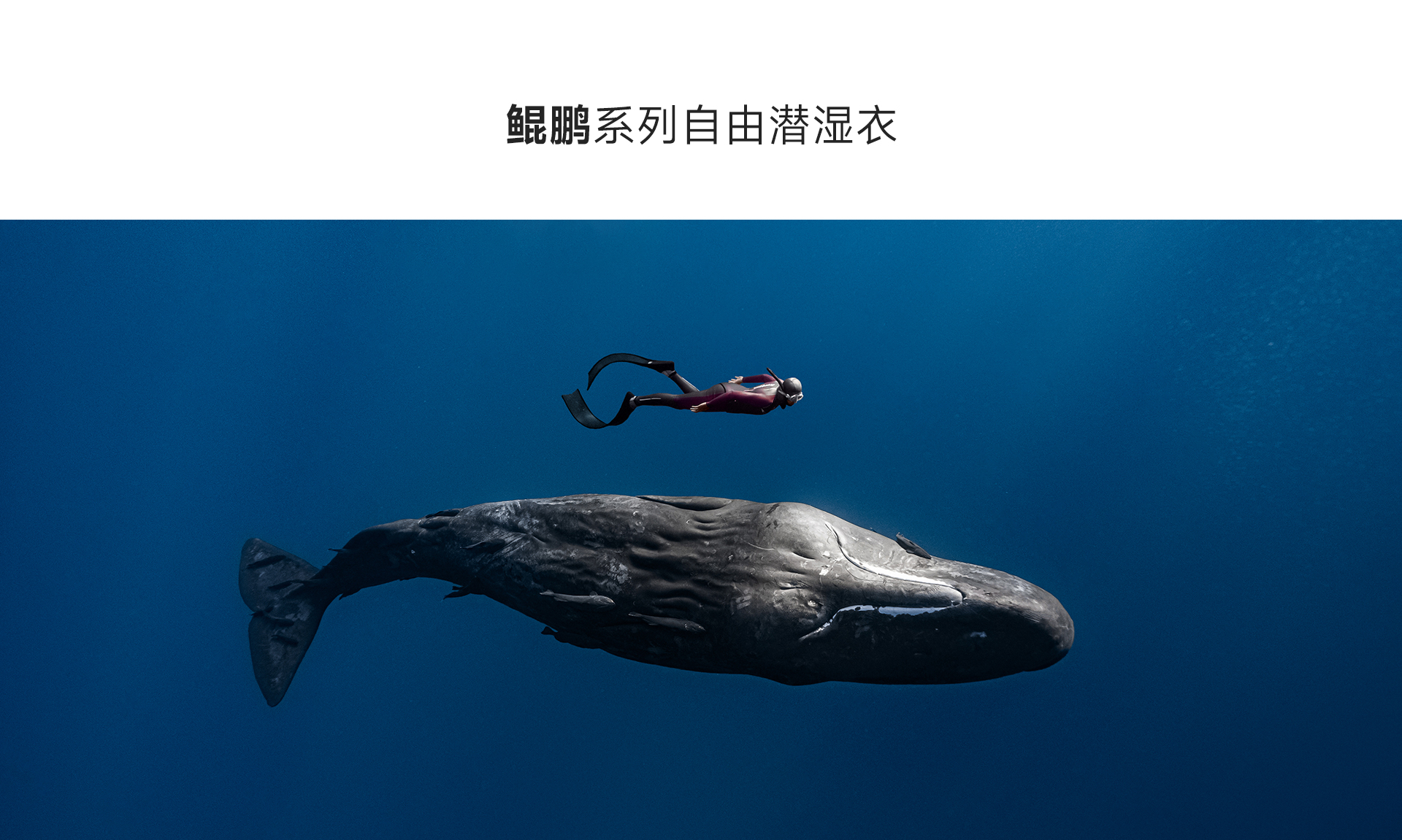 男灰红_02.jpg