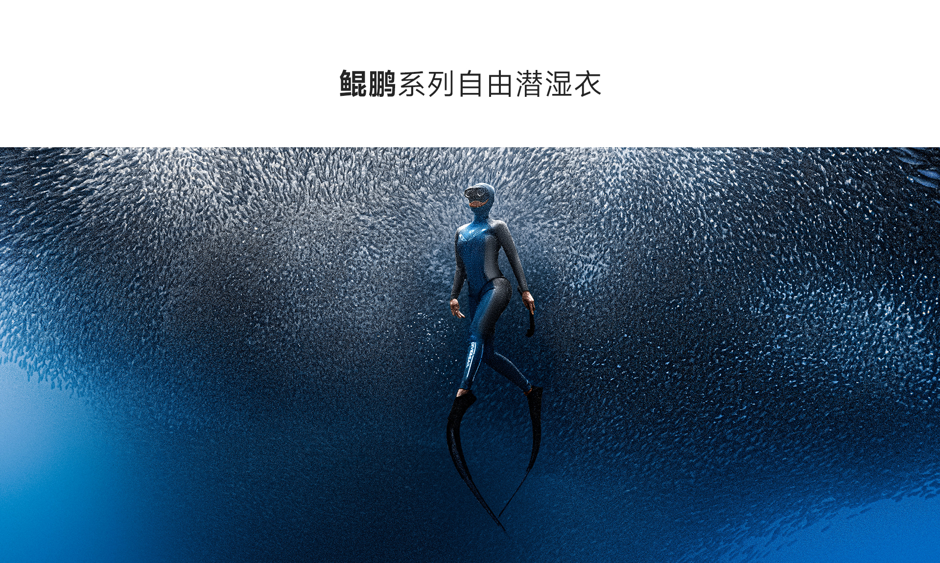 女蓝银_02.jpg
