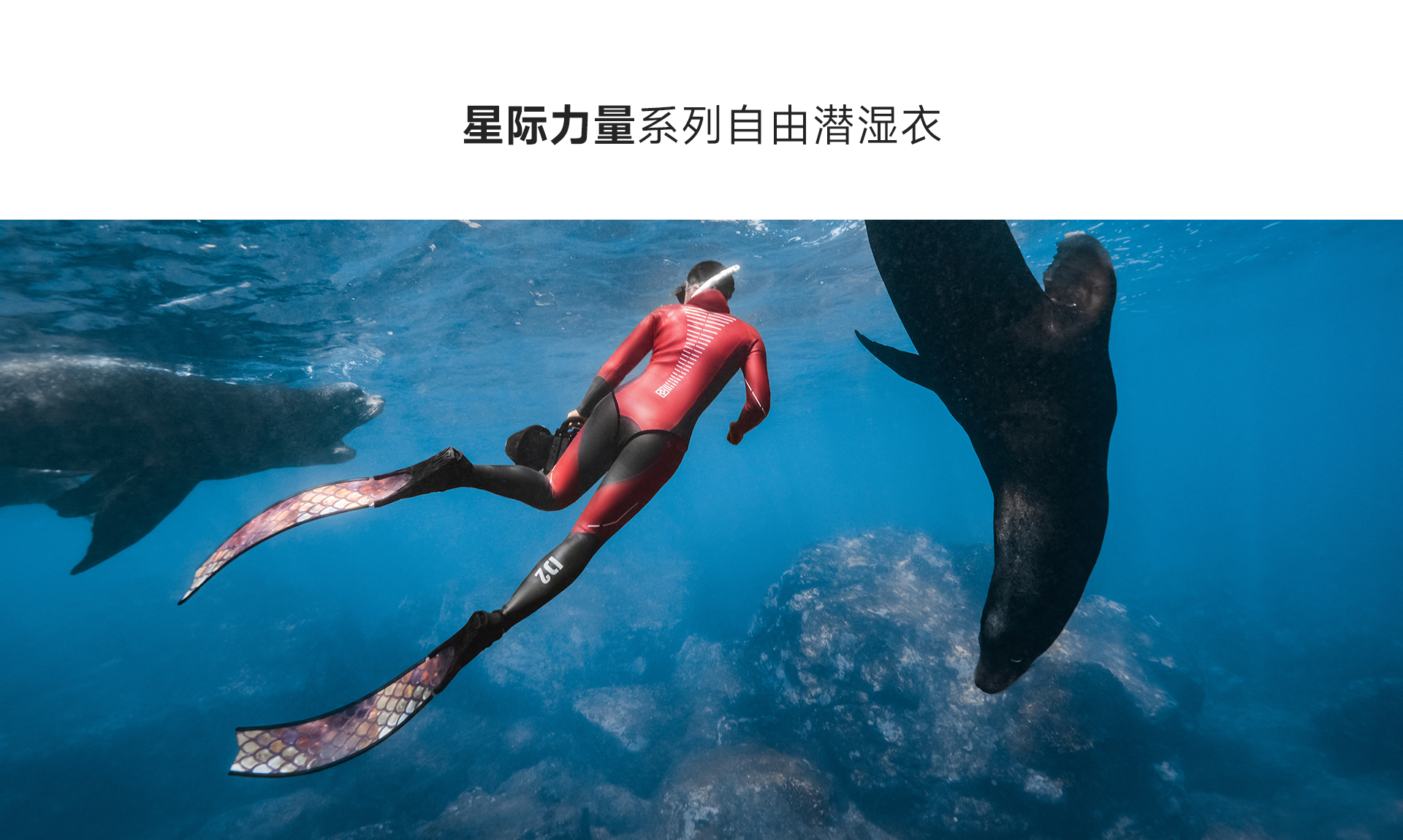 男红灰_02.jpg