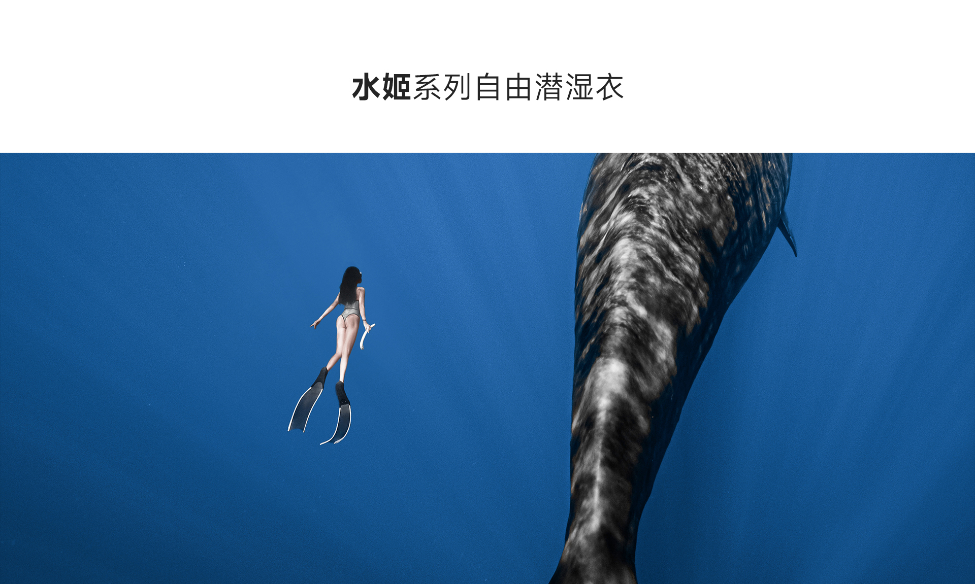 黑色_01.jpg