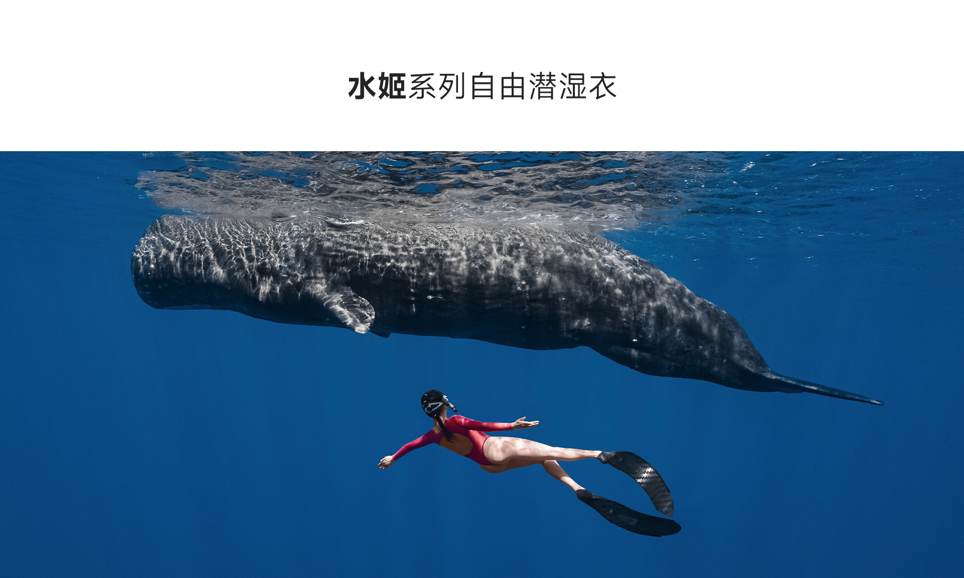 酒红_01.jpg