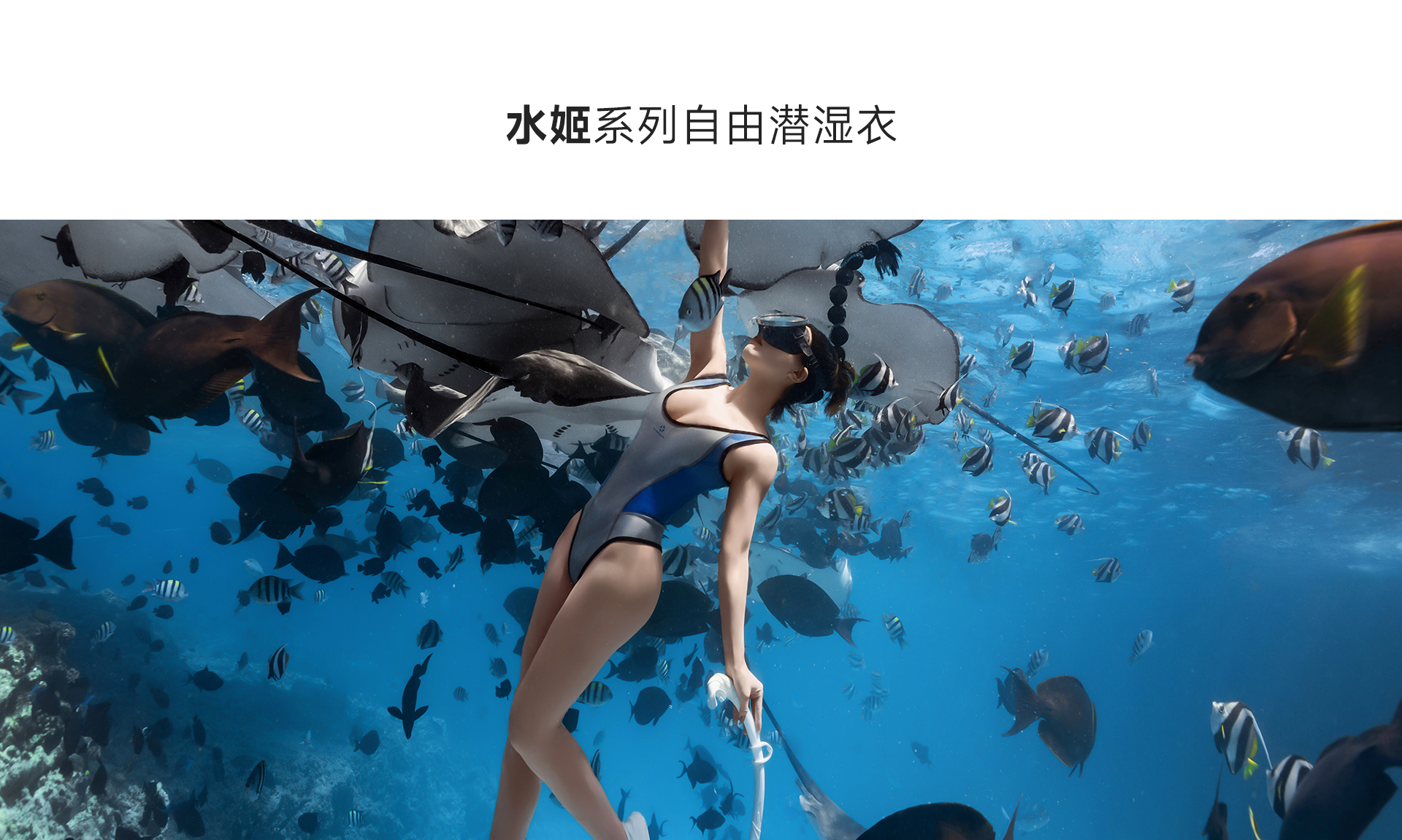 银蓝_01.jpg